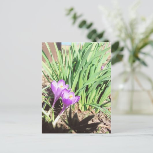 祖母の春の庭 ポストカード (スタンド正面)