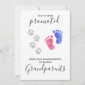 祖父母がペットの犬妊娠を促進 案内状 (正面)