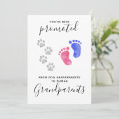 祖父母がペットの犬妊娠を促進 案内状 (スタンド正面)