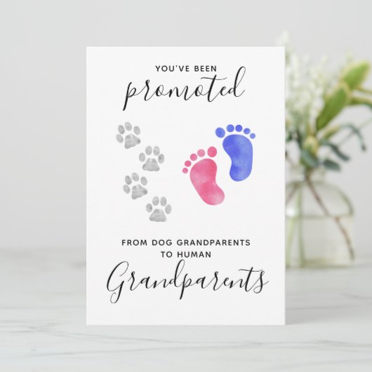 祖父母がペットの犬妊娠を促進 案内状 (スタンド正面)