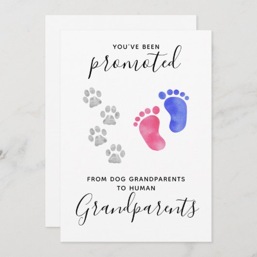 祖父母がペットの犬妊娠を促進 案内状 (正面/裏面)