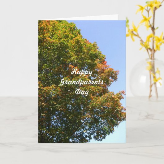 祖父母の日秋もみじ カード (黄色い花)