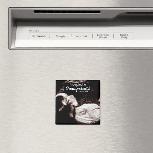 祖父母へのベビー誕生のお知らせ マグネット (インサイチュ (食洗機))