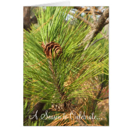 祝うべき季節…