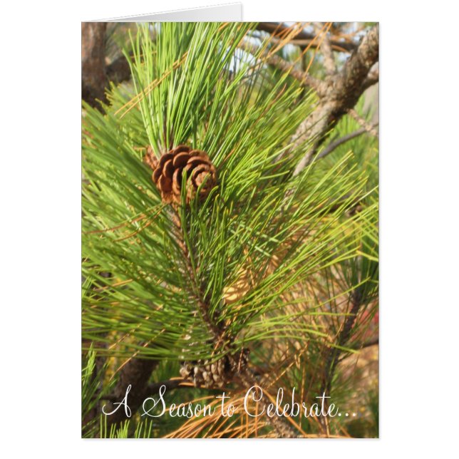 祝うべき季節… (正面)