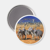 「祝おユニークさんのストライプ」 Zebra Art マグネット (正面/裏面)