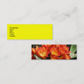 祝って下さい スキニー名刺 (正面/裏面)