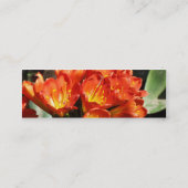 祝って下さい スキニー名刺 (裏面)