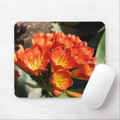 祝って下さい マウスパッド (マウス)