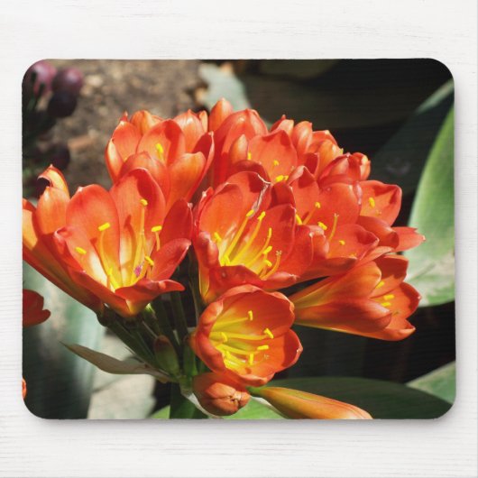 祝って下さい マウスパッド (正面)