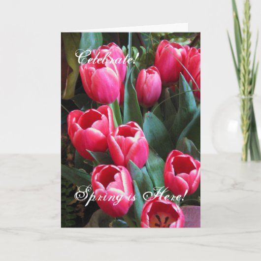 祝って下さい! 、春はここにあります! シーズンカード (正面)