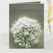 祝エレガントい カード (黄色い花)