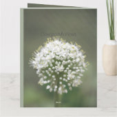 祝エレガントい カード (裏面)