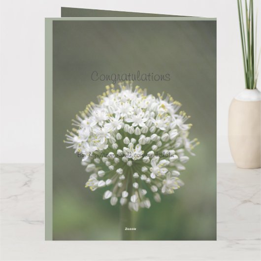 祝エレガントい カード (裏面)