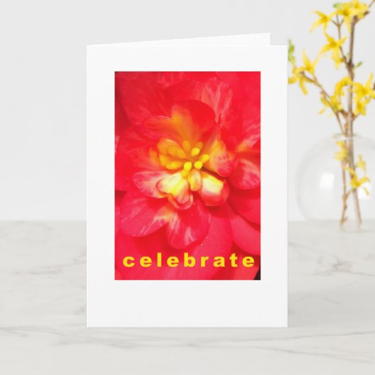 祝大事な行事 カード (黄色い花)