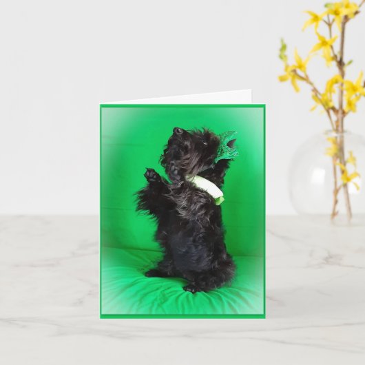 祝福となり カード (黄色い花)