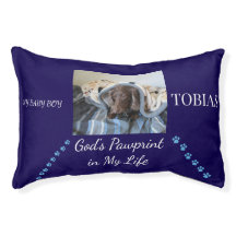 祝福の足跡の安息の場所