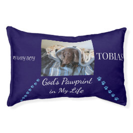 祝福の足跡の安息の場所