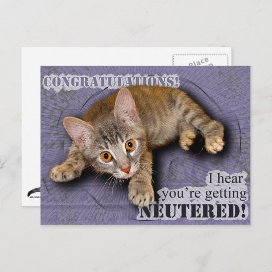 祝福!あなたは去勢される! ポストカード (正面/裏面)