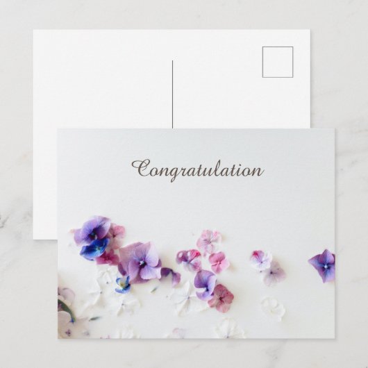 祝賀状 ポストカード (正面/裏面)