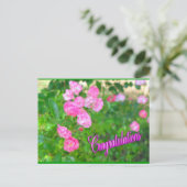 祝賀 ポストカード (スタンド正面)