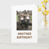 祝頼誕生日? カード (黄色い花)