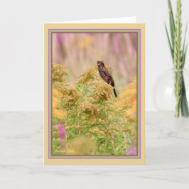 祝鳥:雌赤羽の黒鳥: カード