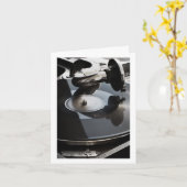 「祝OUR LOVE**」では、ステレオに合わせて踊りましょう。 カード (黄色い花)