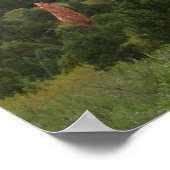 神々のキスをする庭のラクダの裏側 ポスター (角)