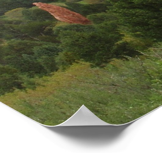 神々のキスをする庭のラクダの裏側 ポスター (角)