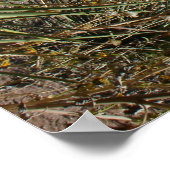 神々の園 ポスター (角)