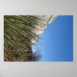 神々の園 ポスター