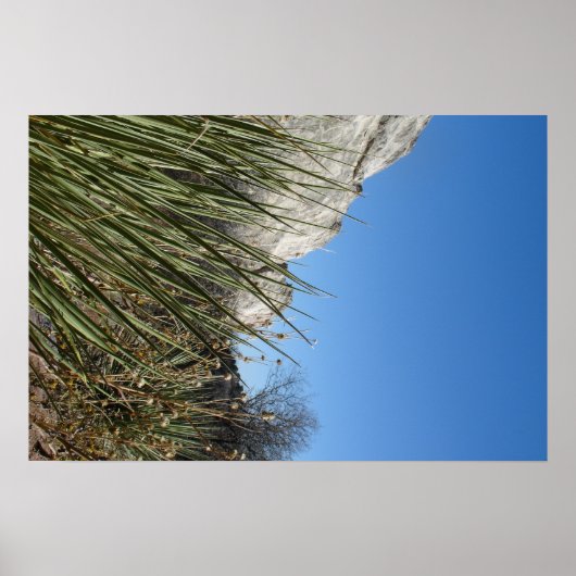 神々の園 ポスター (正面)