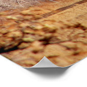 神々の園 ポスター (角)