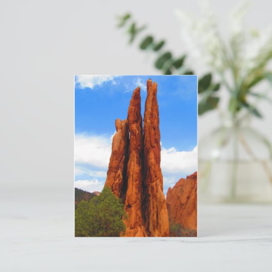 神々の園 ポストカード (スタンド正面)