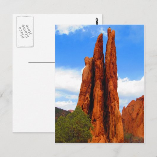 神々の園 ポストカード (正面/裏面)