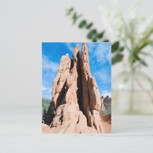 神々の園 ポストカード (スタンド正面)