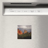 神々の園 マグネット (インサイチュ (食洗機))