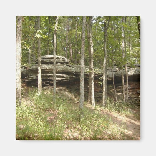 神々の庭 – イリノイ マグネット (正面)