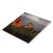 神々の庭 タイル (側面)