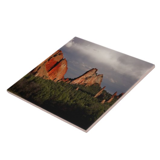 神々の庭 タイル (側面)