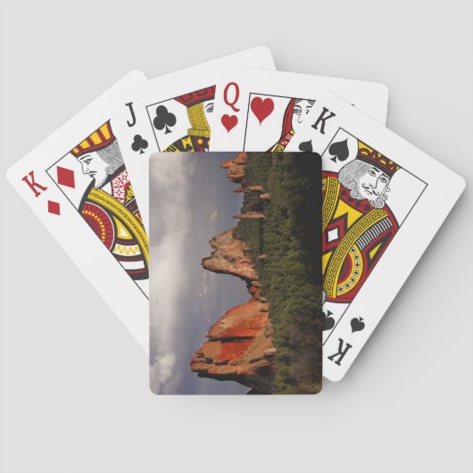 神々の庭 トランプ (裏面)