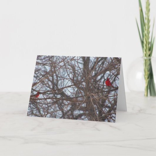 神が作成した美しい、深紅色 カード (正面)