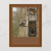 神が給餌に鳥を与えることを恐れてはいけない ポストカード (正面)