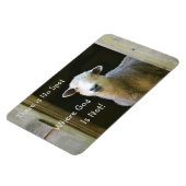 神が羊でない場所はない マグネット (左側)