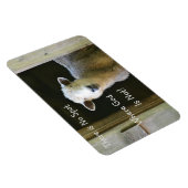 神が羊でない場所はない マグネット (右側)