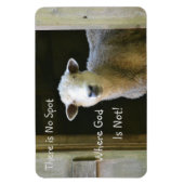 神が羊でない場所はない マグネット (縦)