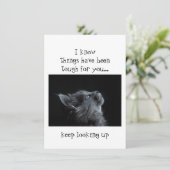 神に希望を抱き続ける 励まし ネコの動物 カード (スタンド正面)