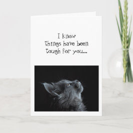 神に希望を抱き続ける 猫の励ましメッセージ 動物 カード