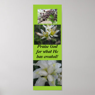 神の創造を賛美せよ！ ポスター